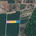 Izvorani, Snagov, loturi de teren la padure, 500-1000 mp.